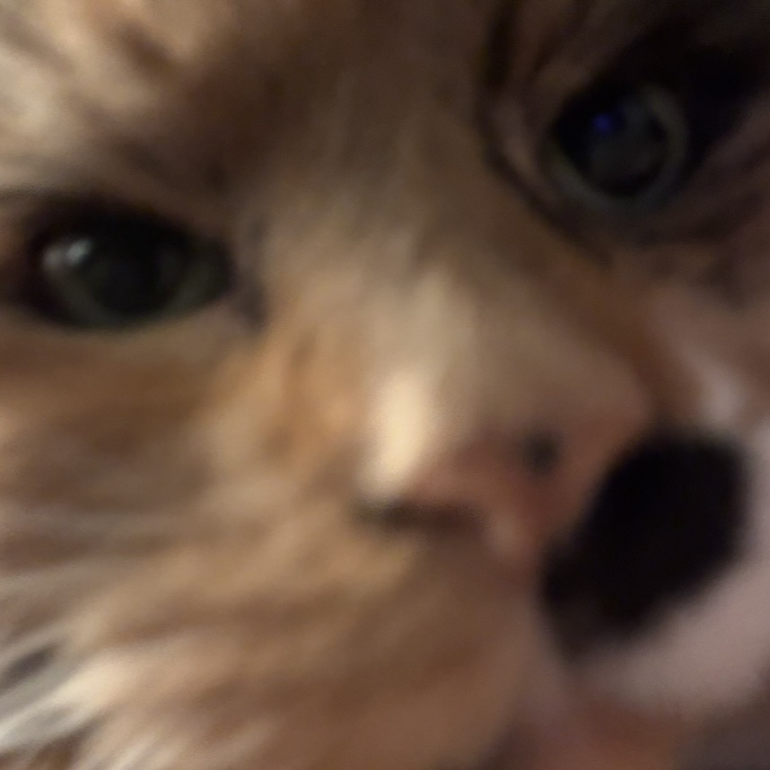 random image of Stubbs